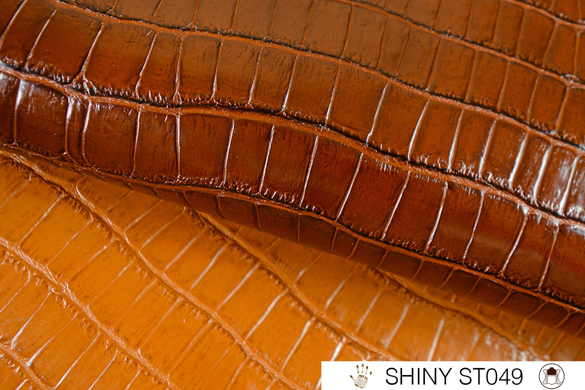 MZV-Shiny-ST049