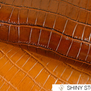 MZV-Shiny-ST049