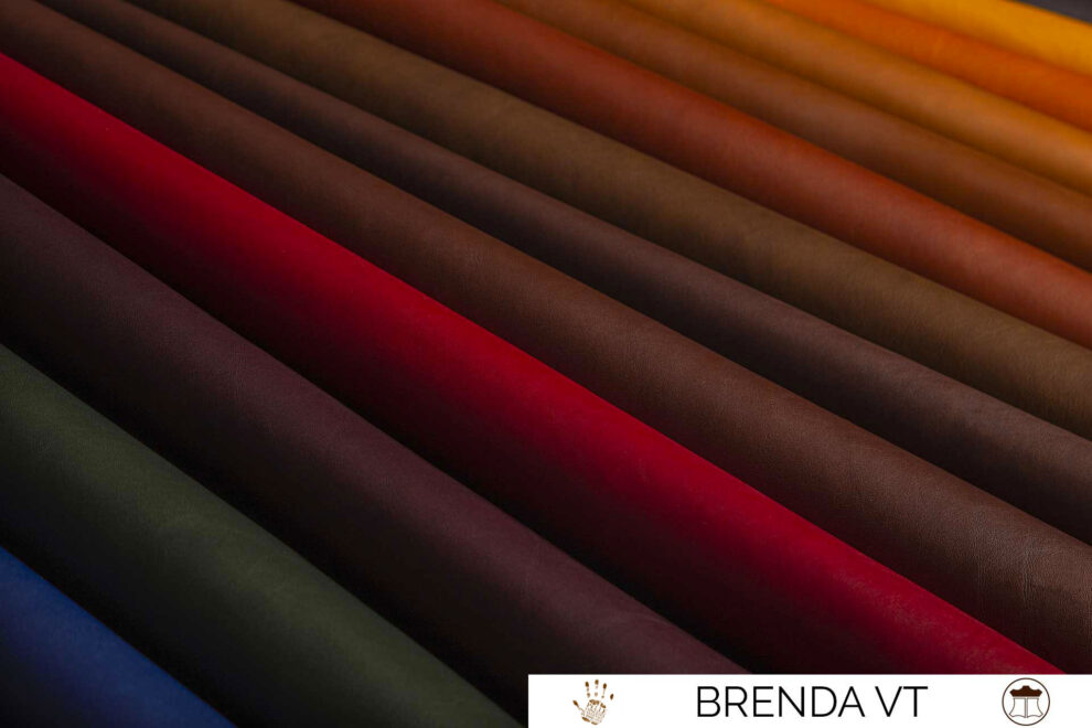 03-BRENDA VT