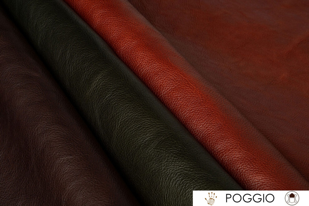 04_Poggio