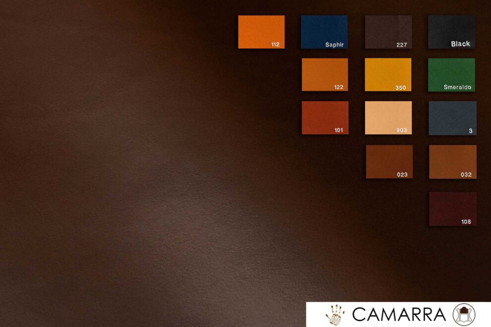 06_Camarra_colors-2