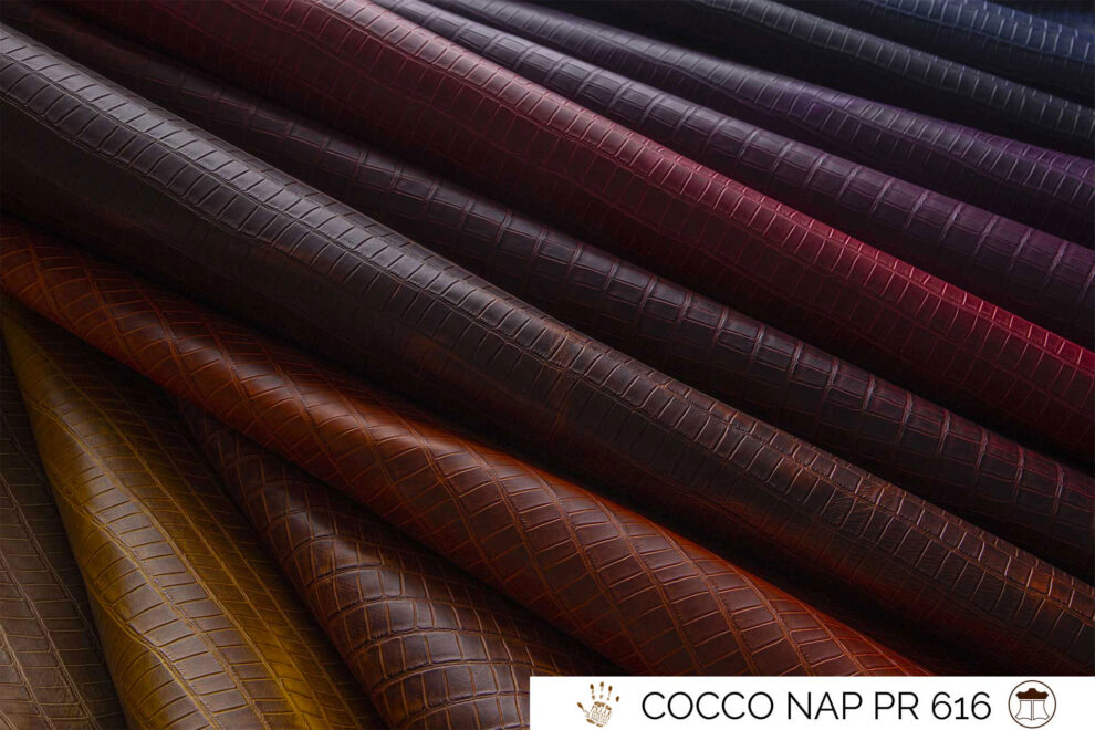 07-COCCO-NAP-PR.-616