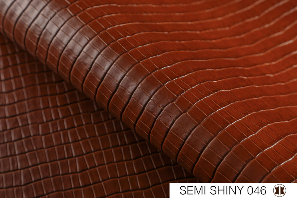 1-Semi-Shiny-046