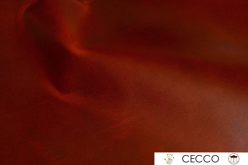 13-Cecco
