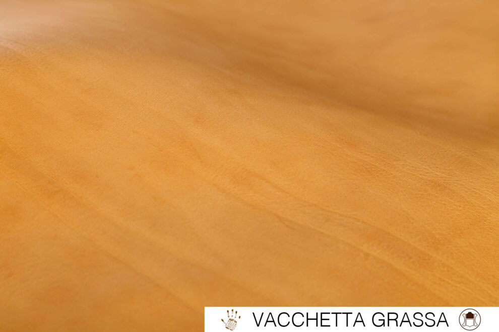 25-VACCHETTA GRASSA