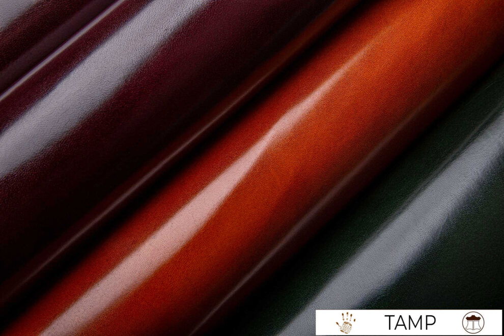 27-TAMP
